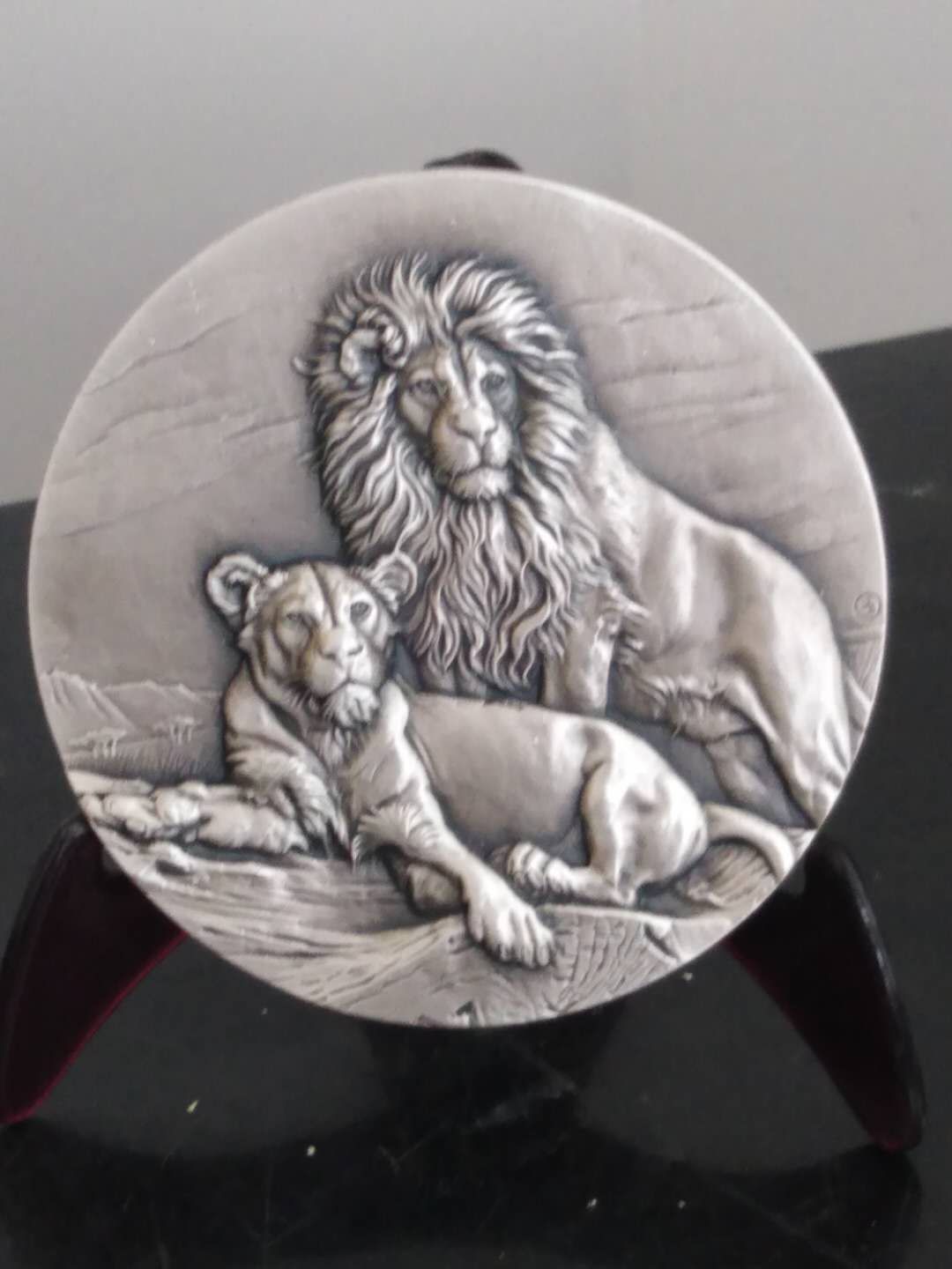 COIN LION